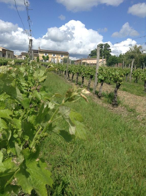 Chateau Nardou 호텔 Saint-Sulpice-et-Cameyrac 외부 사진